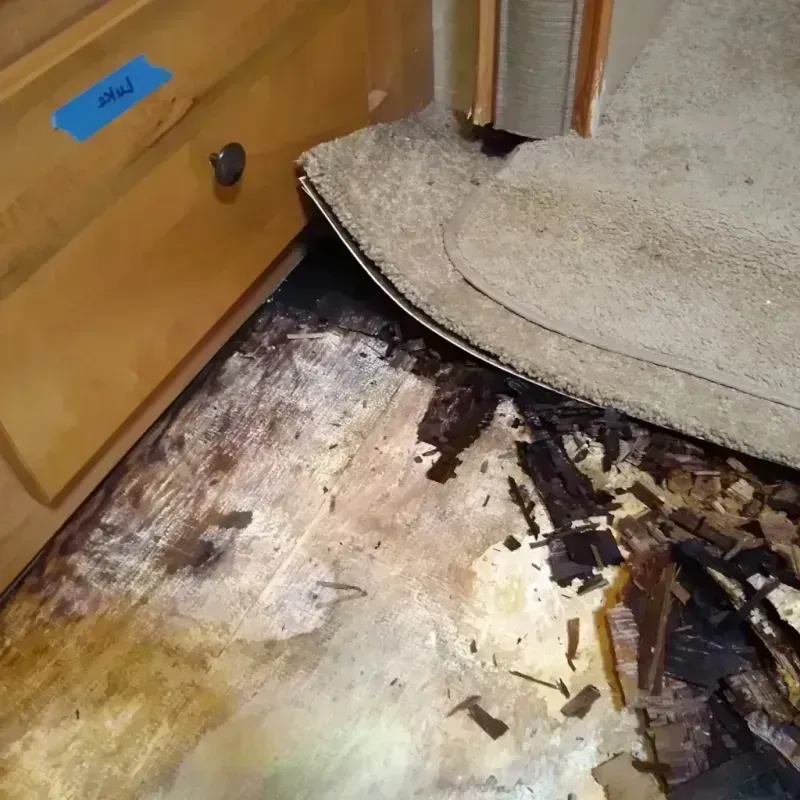 Wood Floor Water Damage in Worcester, NY